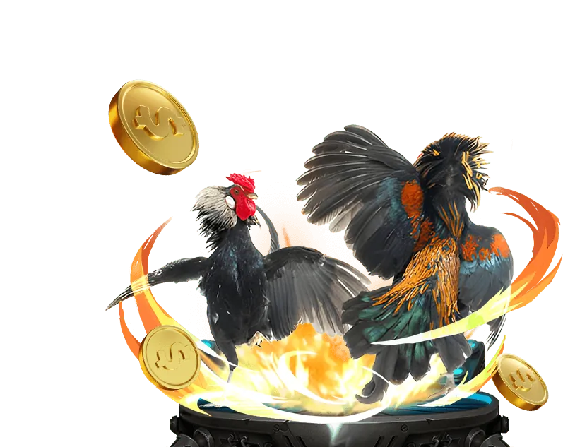 Đăng ký nhà cái số 1